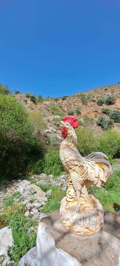 הוילה Molino Laroya מראה חיצוני תמונה